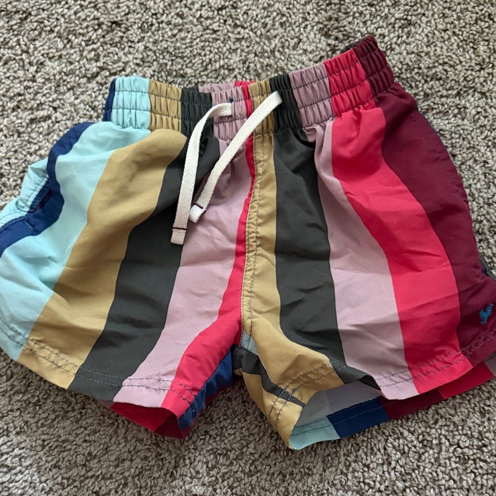 Pink Chicken Multicolor Vertical Stripe Kids Shorts